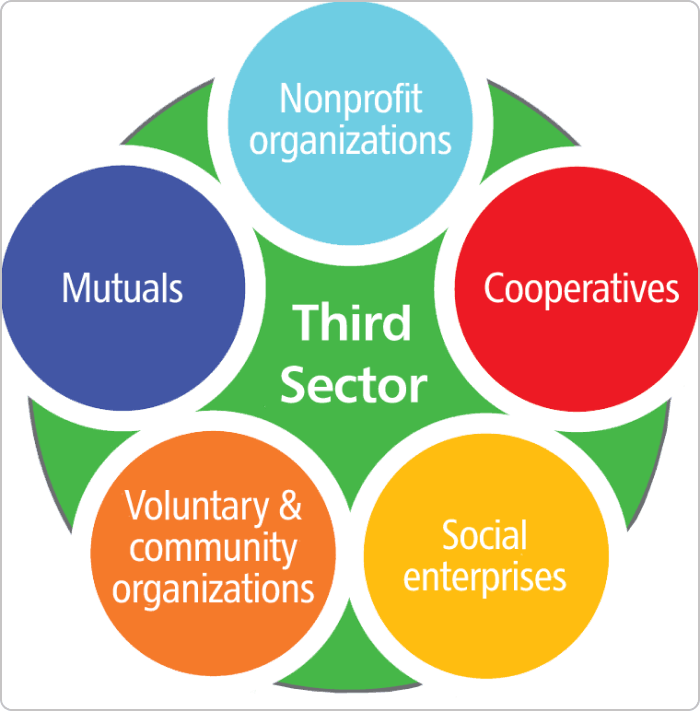visualization about the third sector and what it represents